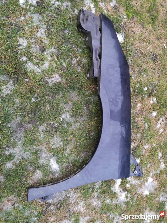 Peugeot 807 blotnik przedni Mieleszyn