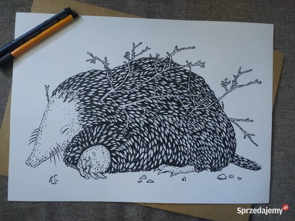 Rysunek kret cienkopis blok tech A3 250 gm2 Warszawa