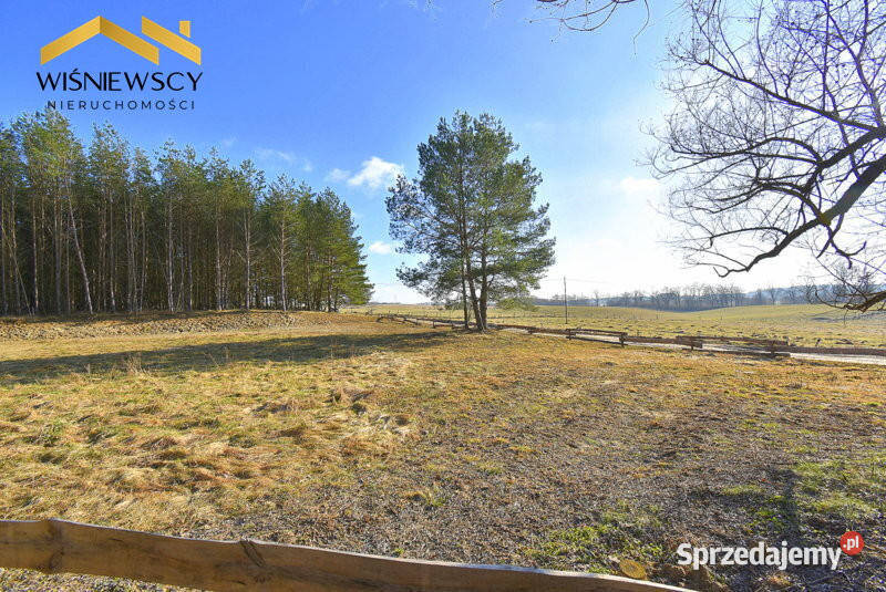 Działka 3001 m2 lesie budowlana uzbrojona Sprzedaż