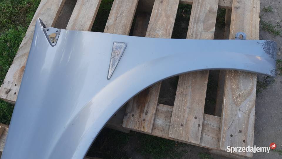 lak TEA19 błotnik lewy przedni Renault Megane II osobowe