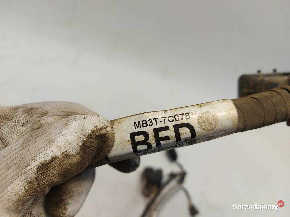 Ford Ranger VI 6 2024r WIĄZKA INSTALACJA osobowe