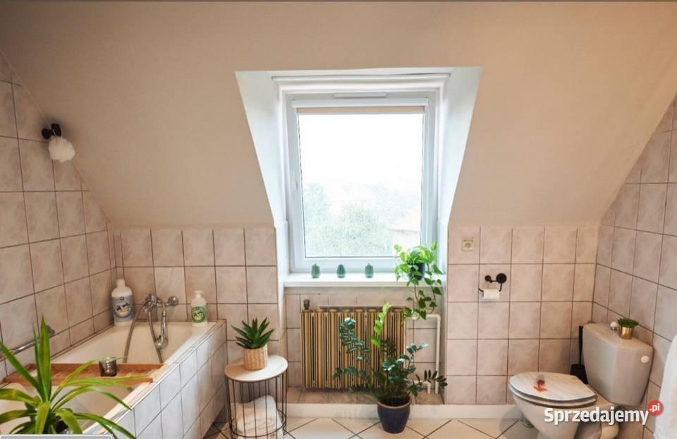 3pok 64met Ceglanej ROZKŁAD Legnica