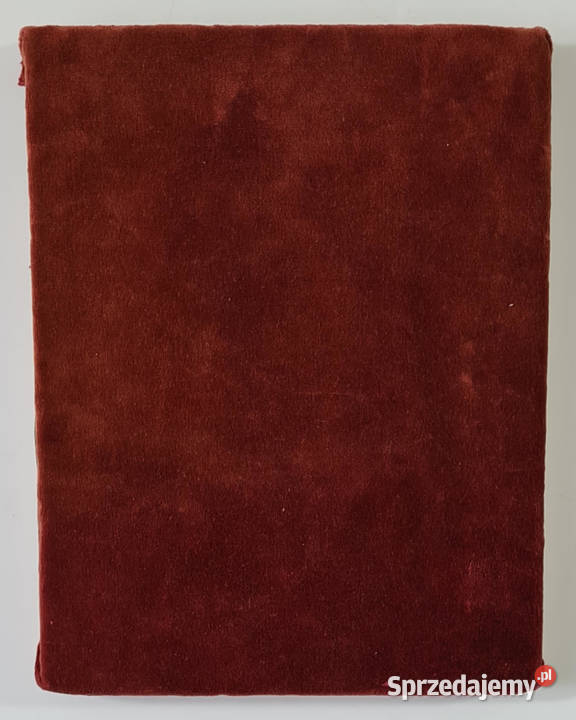 Ikona Święty Aleksander Newski 0054 Warszawa