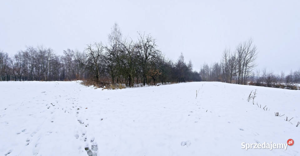 Drewniany dom z dużą działką pole sad las Liczba pokoi 2