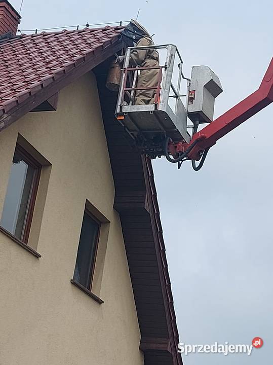 Osy Szerszeni usuwanie gniazd dolnośląskie Wrocław
