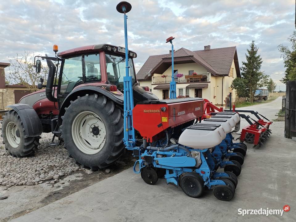 Usługa siewu kukurydzy