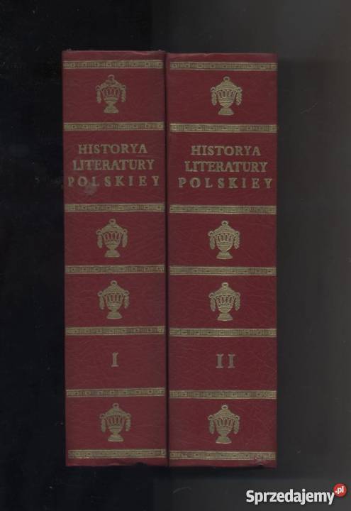 Historya literatury polskiey T12 Szczecin