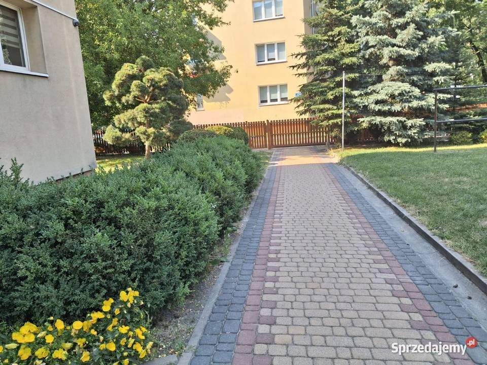 Mieszkanie 2pokojowe Łódź Bałuty I piętro piwnica sprzedam