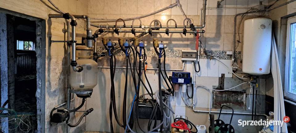 Dojarka przewodowa zbiornik 800l Hodowla bydła Rolnictwo sprzedam