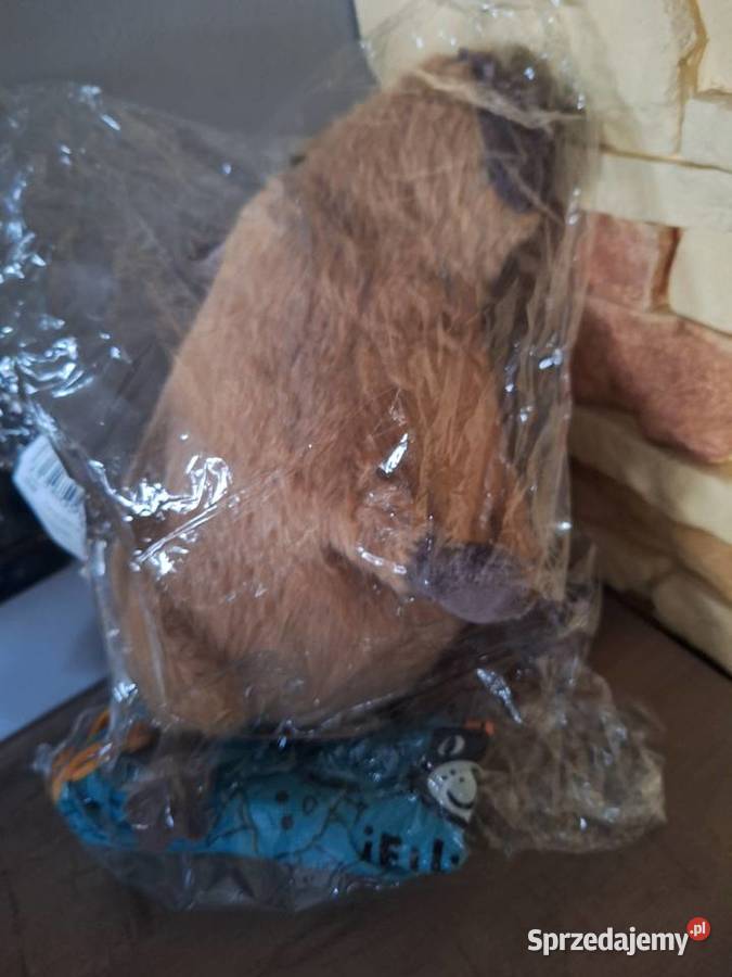 Capybara pluszak Nowy kapibara prezent mikołajki Kalisz
