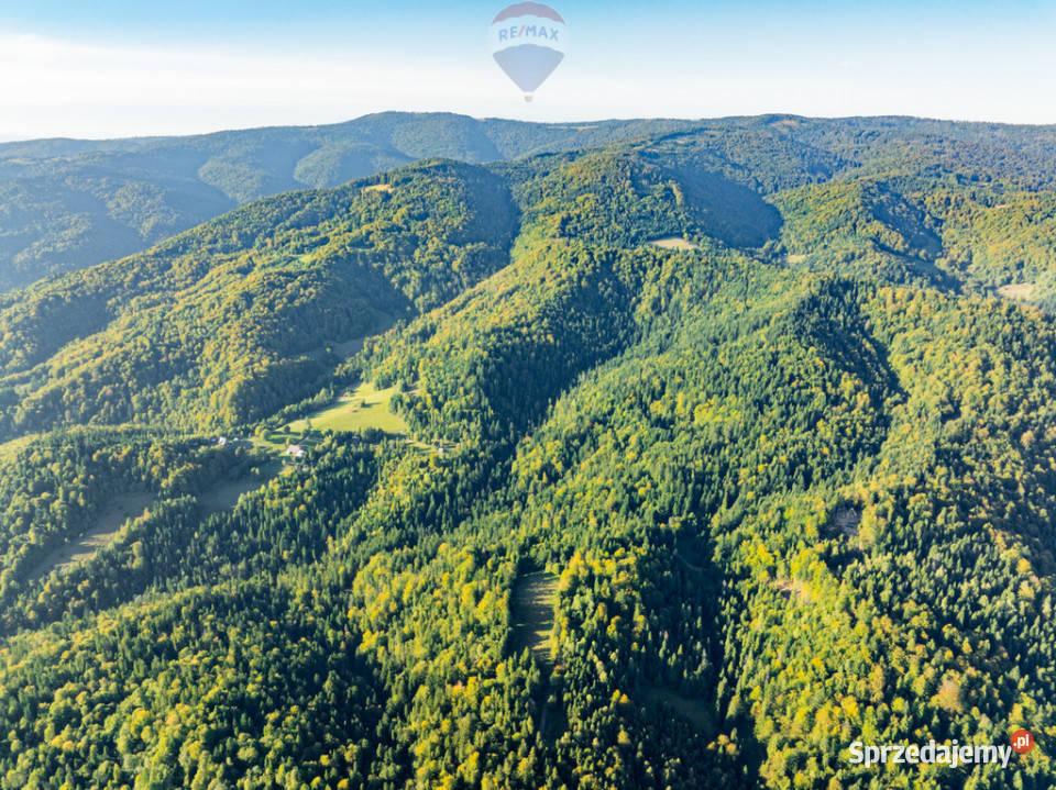 Polana w lesie Harklowa sprzedam