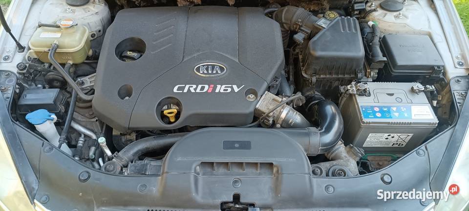 Kia ceed crdi