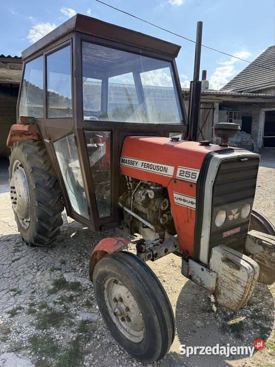 Massey Ferguson 255 Wiślica