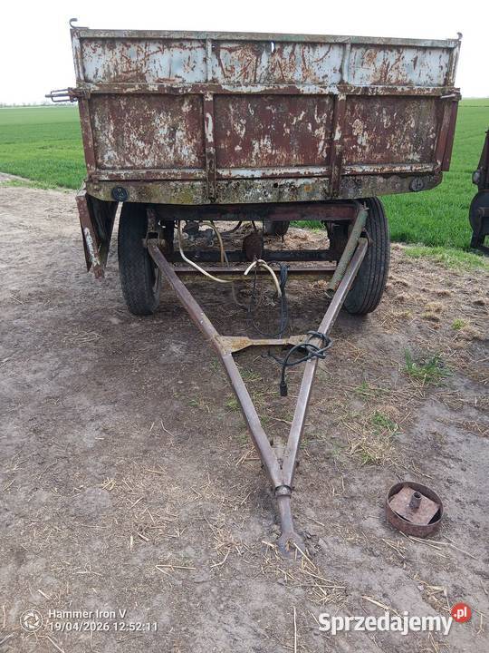 Przyczepa D46 nieuszkodzony Arcugowo sprzedam