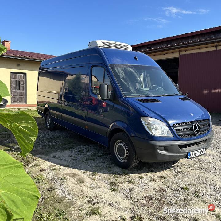 Mercedes Benz Sprinter 313 CDI rocznik 2010 Rok produkcji 2010 Sandomierz