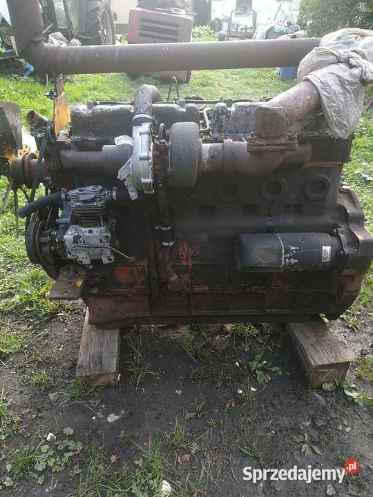 Silnik Zetor Turbo i wolnossący 6cyl 4cyl 3cyl dolnośląskie Stoszowice