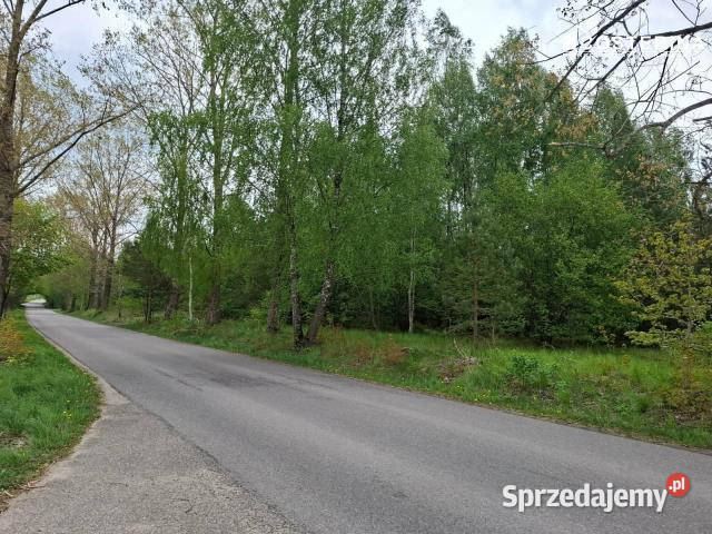 sprzedaży gruntu 8165m2 Sobącz 14zł/m2