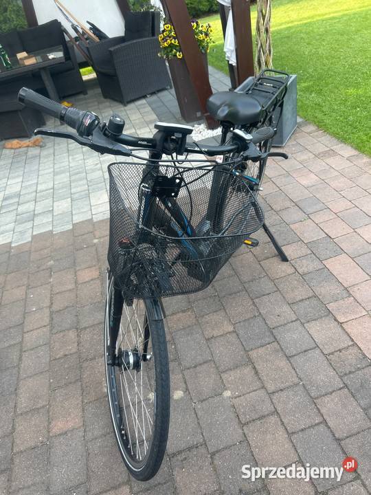 Rower elektryczny Rowery elektryczne