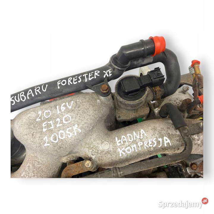 SILNIK EJ204 EJ204L Subaru Forester XC II SG 20 osobowe Chełm