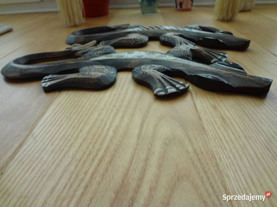 salamandry jaszczurki Wrocław