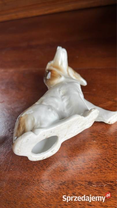 Piesek Figurka porcelanowa Śliczna figurka bez Gdańsk