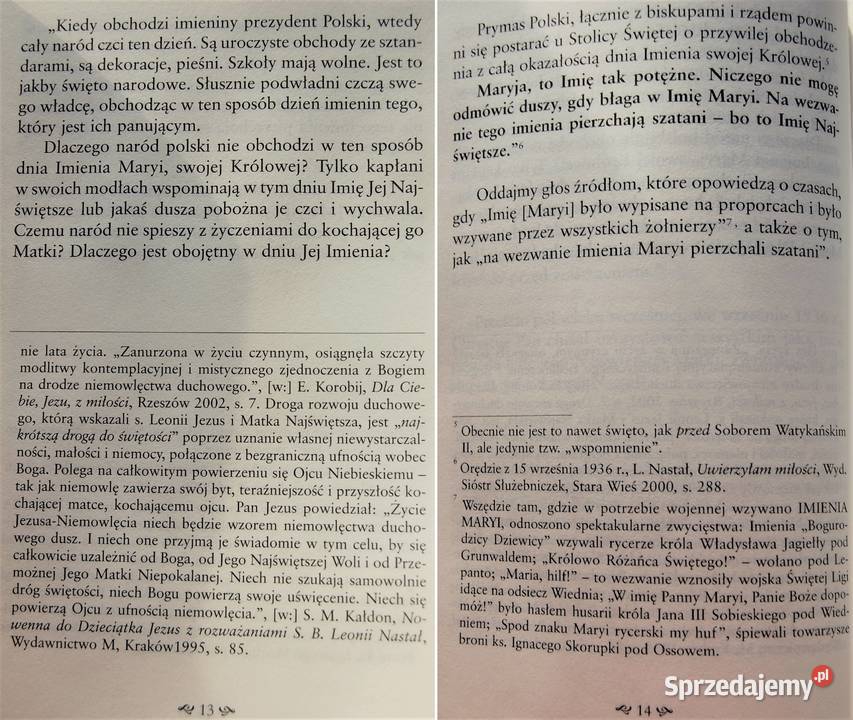 Matka Boża Zwycięska E Storożyńska J Bartnik SJ lubelskie Lublin
