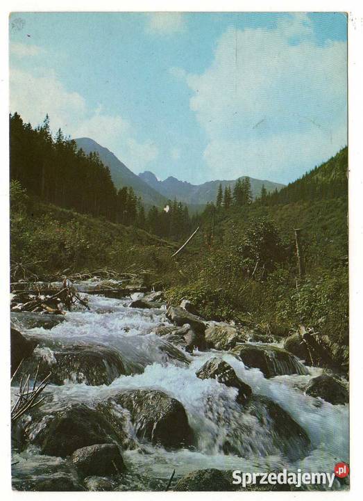 TATRY ZACHODNIE POTOK BYSTREJ POCZTÓWKA Krynki