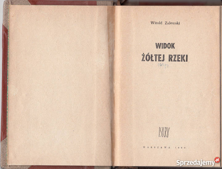 01005 WIDOK ŻÓŁTEJ RZEKI WITOLD ZALEWSKI Czyrna