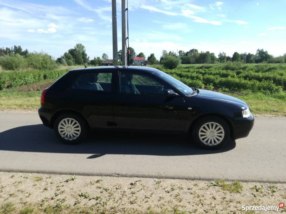 Sprzedam Audi A3 8L 16 BenzynaWart Do negocjacji Hatchback podkarpackie