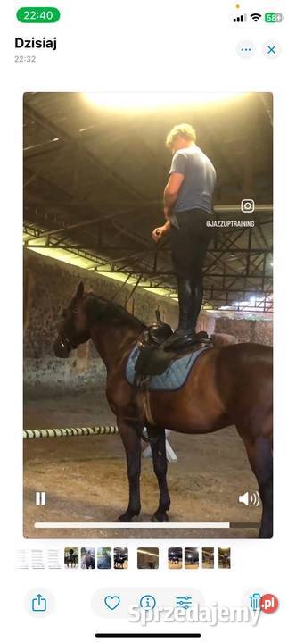 Walach do małego sportu Pruszków