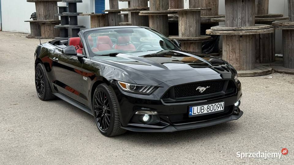 Mustang Europa wersja Szwajcaria Bełżyce