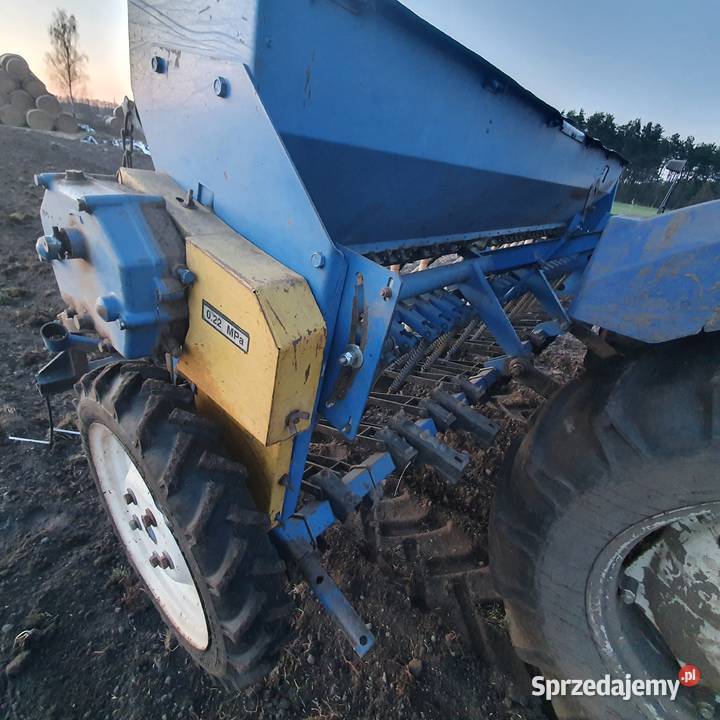 Siewnik poznaniak nieuszkodzony
