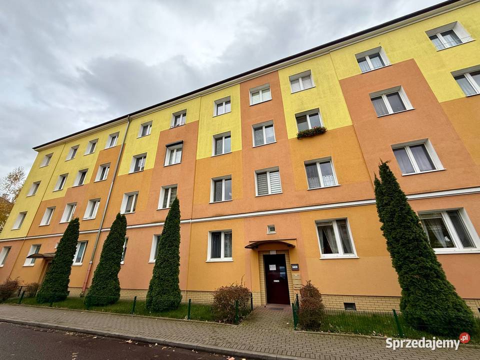 Konin Energetyka mieszkanie na sprzedaż PARTER piwnica wielkopolskie