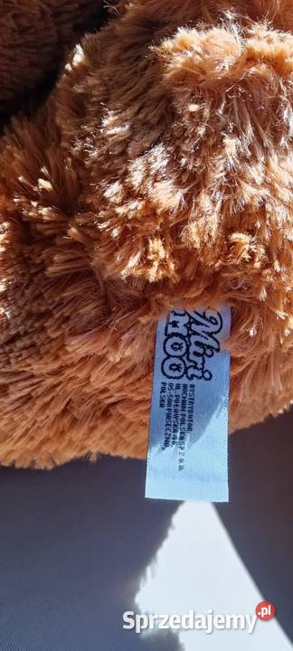 Maskotka miś Mirimoo kujawsko-pomorskie Włocławek