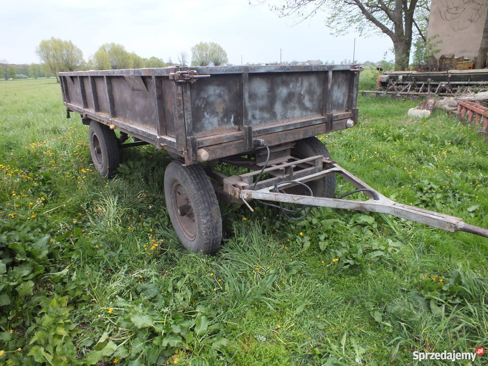 Przyczepa 35 4 tony sztywna Kostrzyn