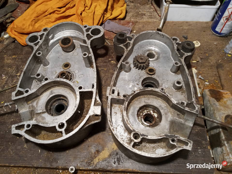 komar kartery Międzychód sprzedam