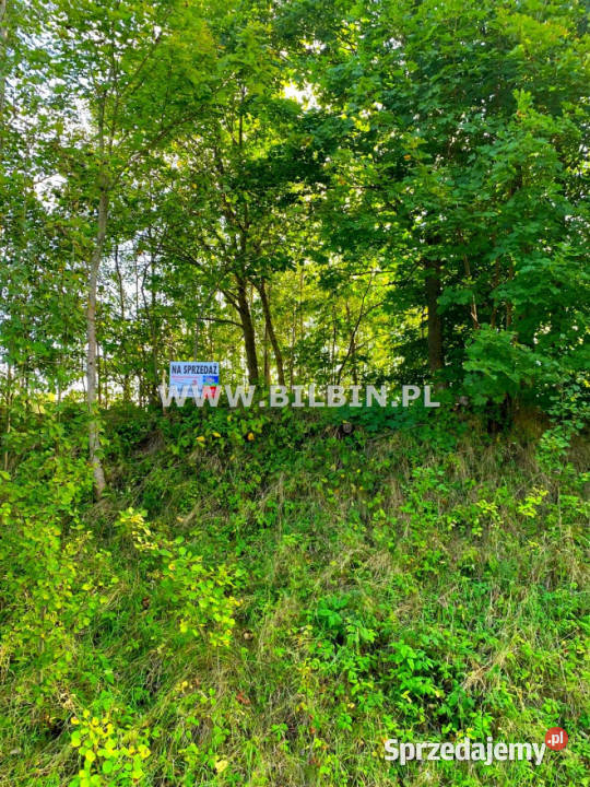 Działka Supienie 3728m podlaskie