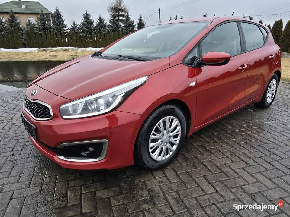 Kia Ceed 16crdi Kutno sprzedam