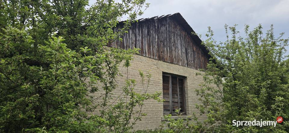 Działka ogrodnicza sad