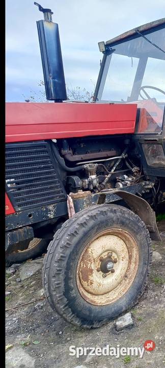 Zetor 8011 Rolnictwo Dębogórze