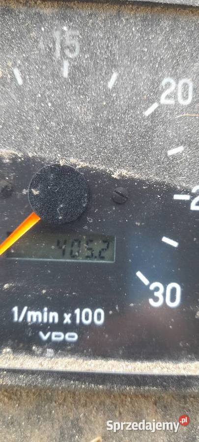 Bizon rekord mileńjum Miechów sprzedam