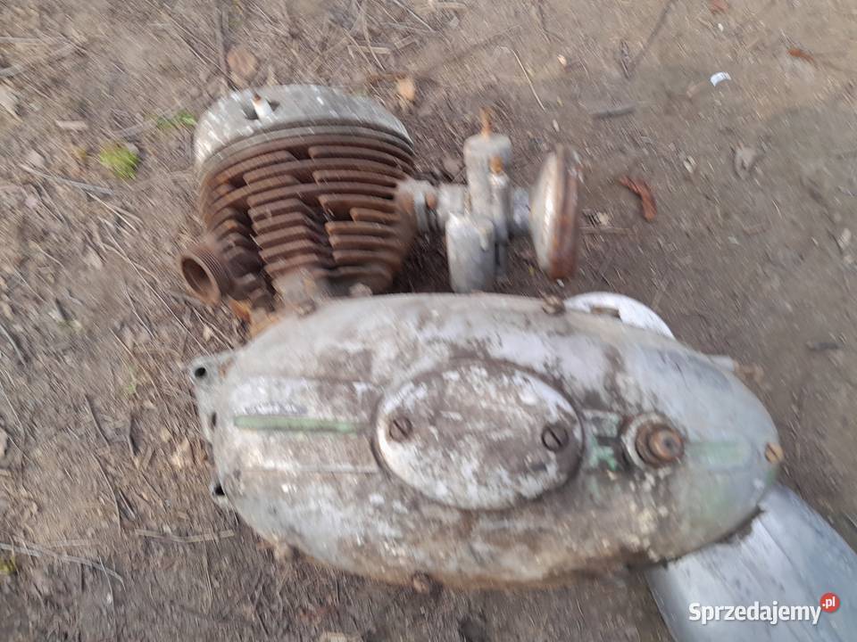 Silnik pannonia Świerzawa