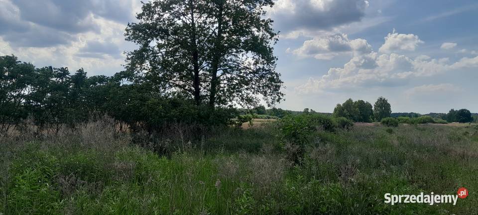 Sokołówek 21ha7 Radzyminw tym 5000m2 działka budowlana