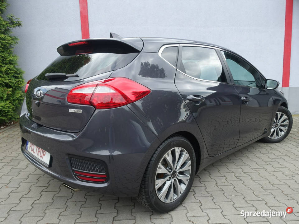 Kia Ceed 14i Navi Klimatronik Alu Android Auto Kia sprzedam
