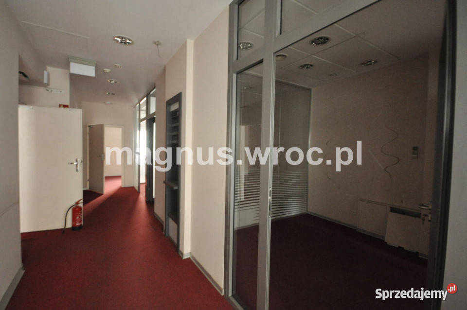 Lokal do wynajęcia parterPrzedmieście Oławskie Lokale użytkowe Wrocław