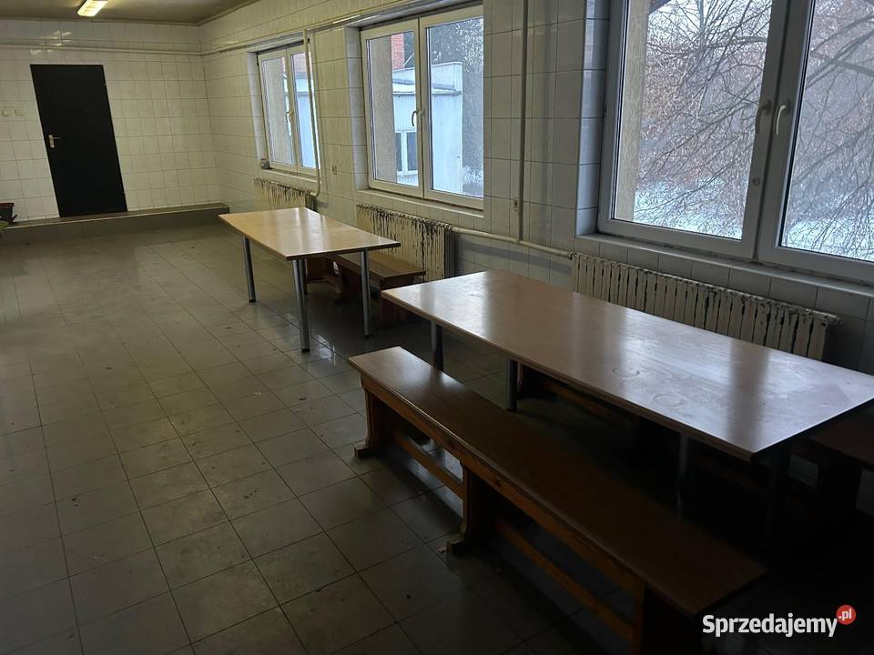 Wynajem hali Aleksandria