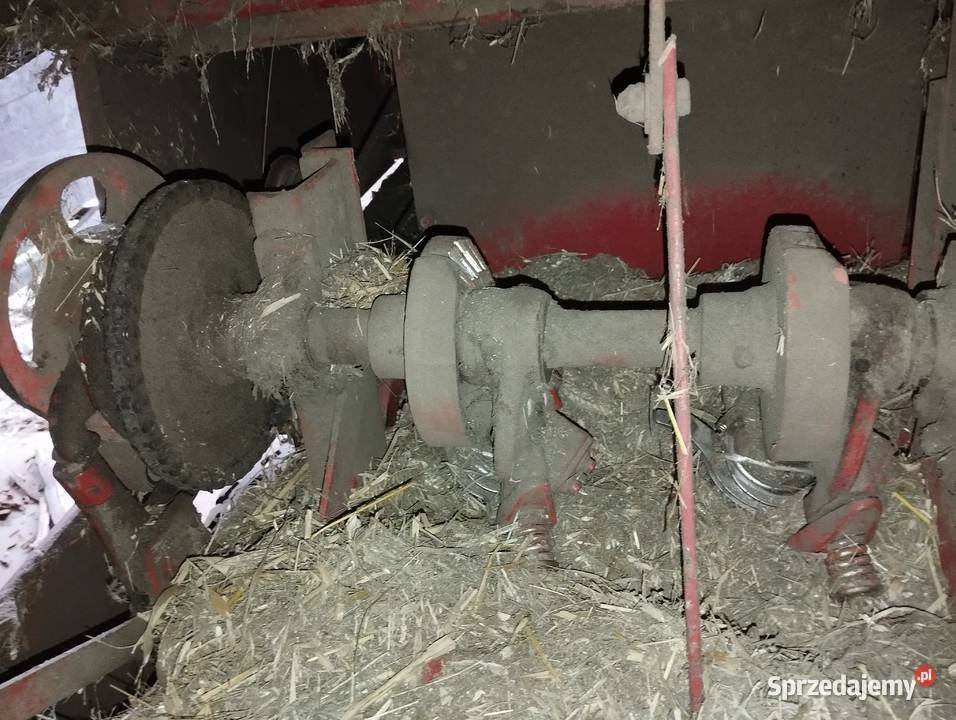 Prasa kostkująca Massey Ferguson 124 MF małopolskie Chodorowa