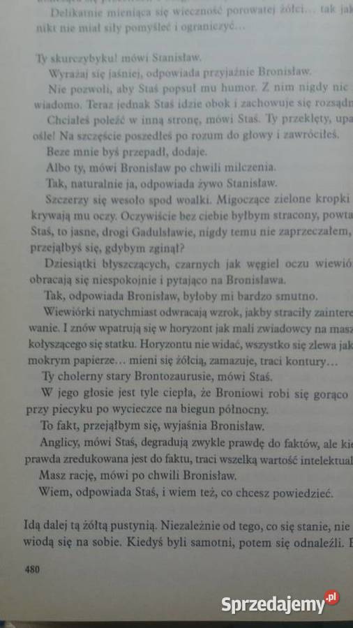 Lord Nevermore Agneta Pleijel książki unikatowe Antykwariat Warszawa