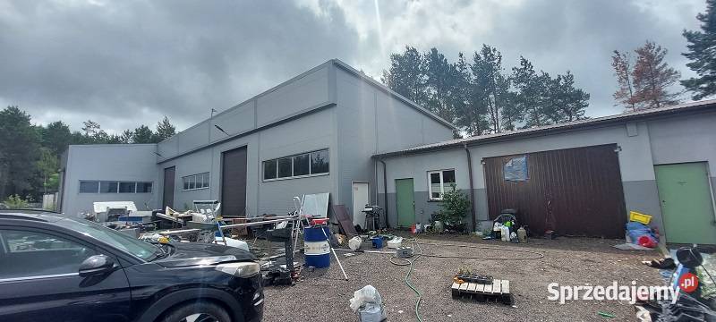 Syndyk sprzeda Amelin