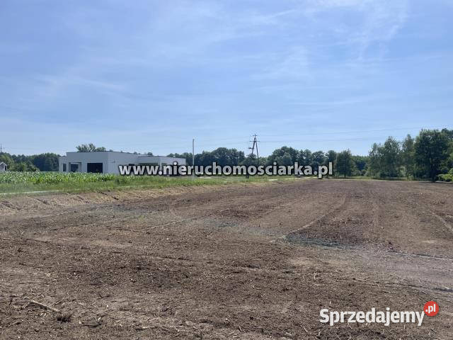 Grunt 1032m2 Skrzyszów